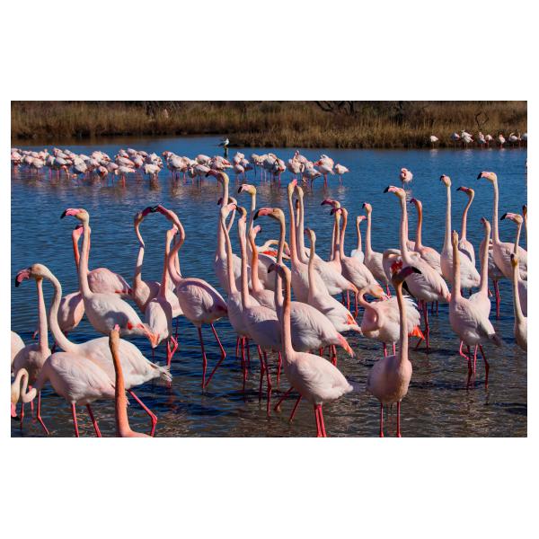 PHOTO84, CLUB, 84 , LUBERON